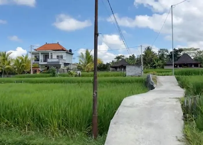 Whispering Palms Peaceful 1br Pool In Gianyar * ウブド