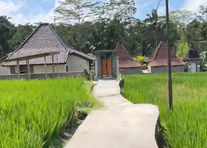 Whispering Palms Peaceful 1br Pool In Gianyar 別荘
